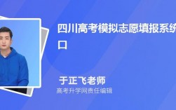 四川高考志愿(網上填報志愿的方法步驟)