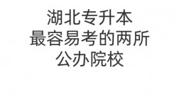 湖北最容易專升本學校