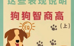 智商高的十種表現