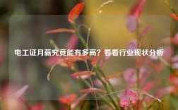 電工證月薪究竟能有多高？看看行業現狀分析