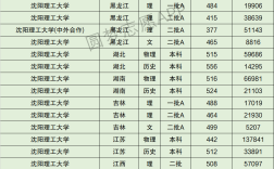 沈陽理工大學2024年錄取分數線