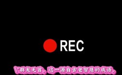 群龍無(wú)首的意思