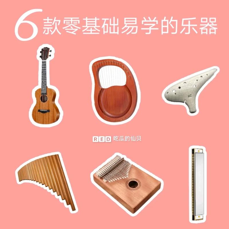 哪個(gè)樂(lè)器最簡(jiǎn)單好學(xué)-圖1