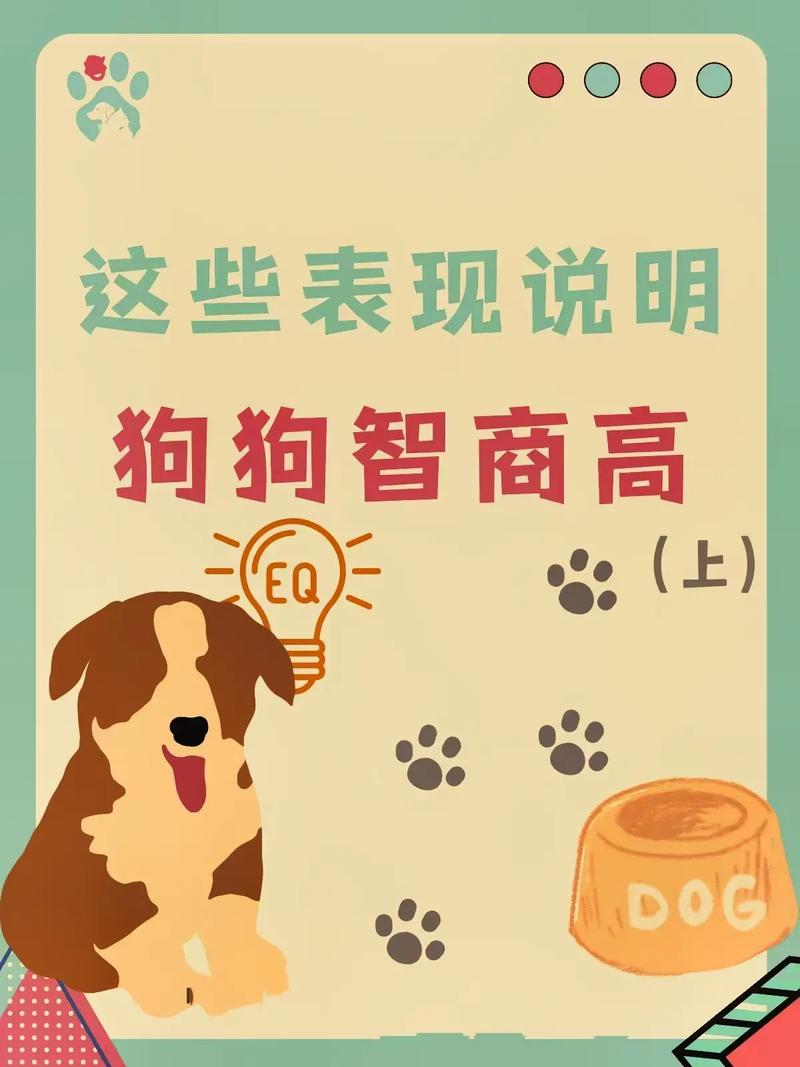 智商高的十種表現-圖1