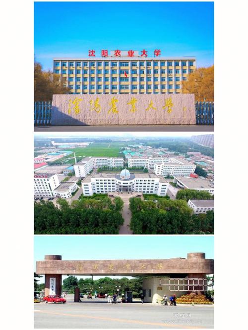 沈陽農業大學是一本還是二本-圖1