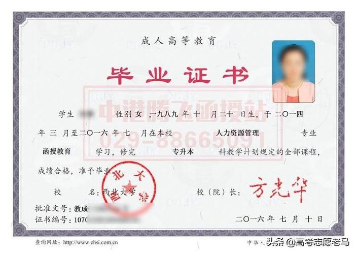 專升本第一學歷是本科嗎-圖1