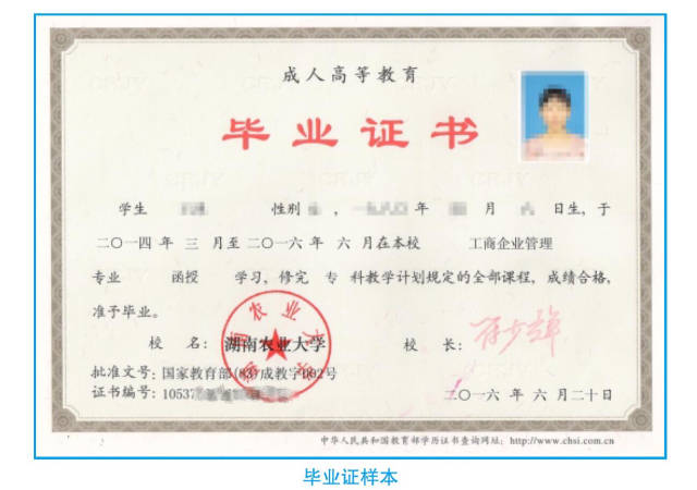 專修學院的文憑有用嗎-圖1