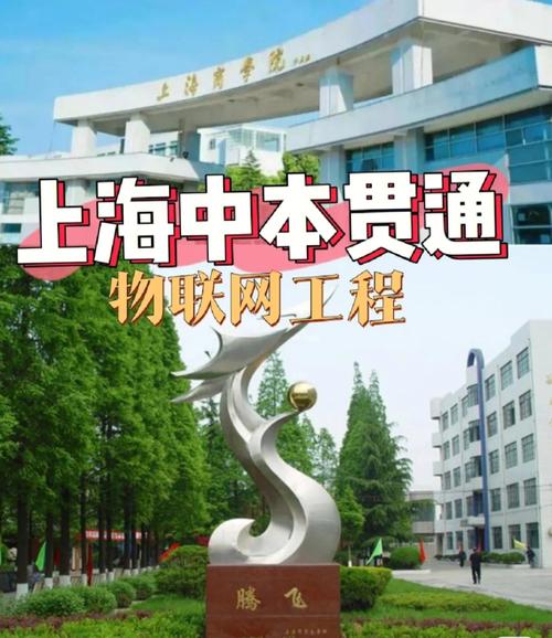 中本貫通上海有哪些學校(中本貫通屬于什么學歷)-圖1