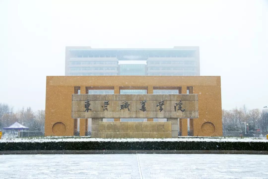 東營職業(yè)學(xué)院怎么樣(山東十大最好的職業(yè)院校)-圖1