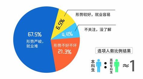 交通工程專業就業方向(張雪峰推薦交通運輸考研)-圖1