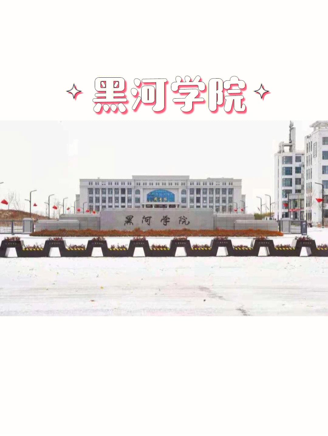 黑河學院地址(哈爾濱學院屬于什么檔次)-圖1
