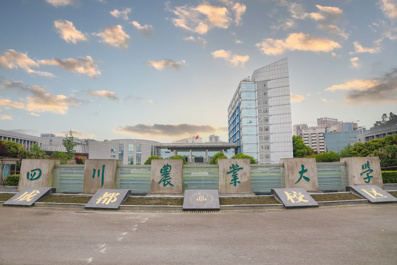 四川農業大學怎么樣(張雪峰評價四川農業大學)-圖1