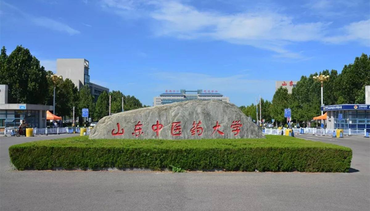 山東中醫(yī)藥大學(xué)怎么樣(中醫(yī)最容易移民的國(guó)家)-圖1