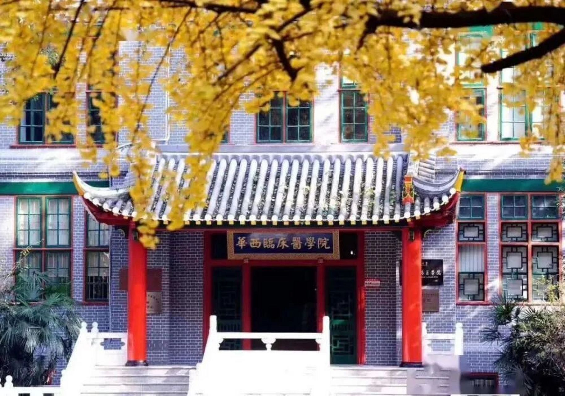 醫(yī)學院校(醫(yī)學類最吃香的三個專業(yè))-圖1