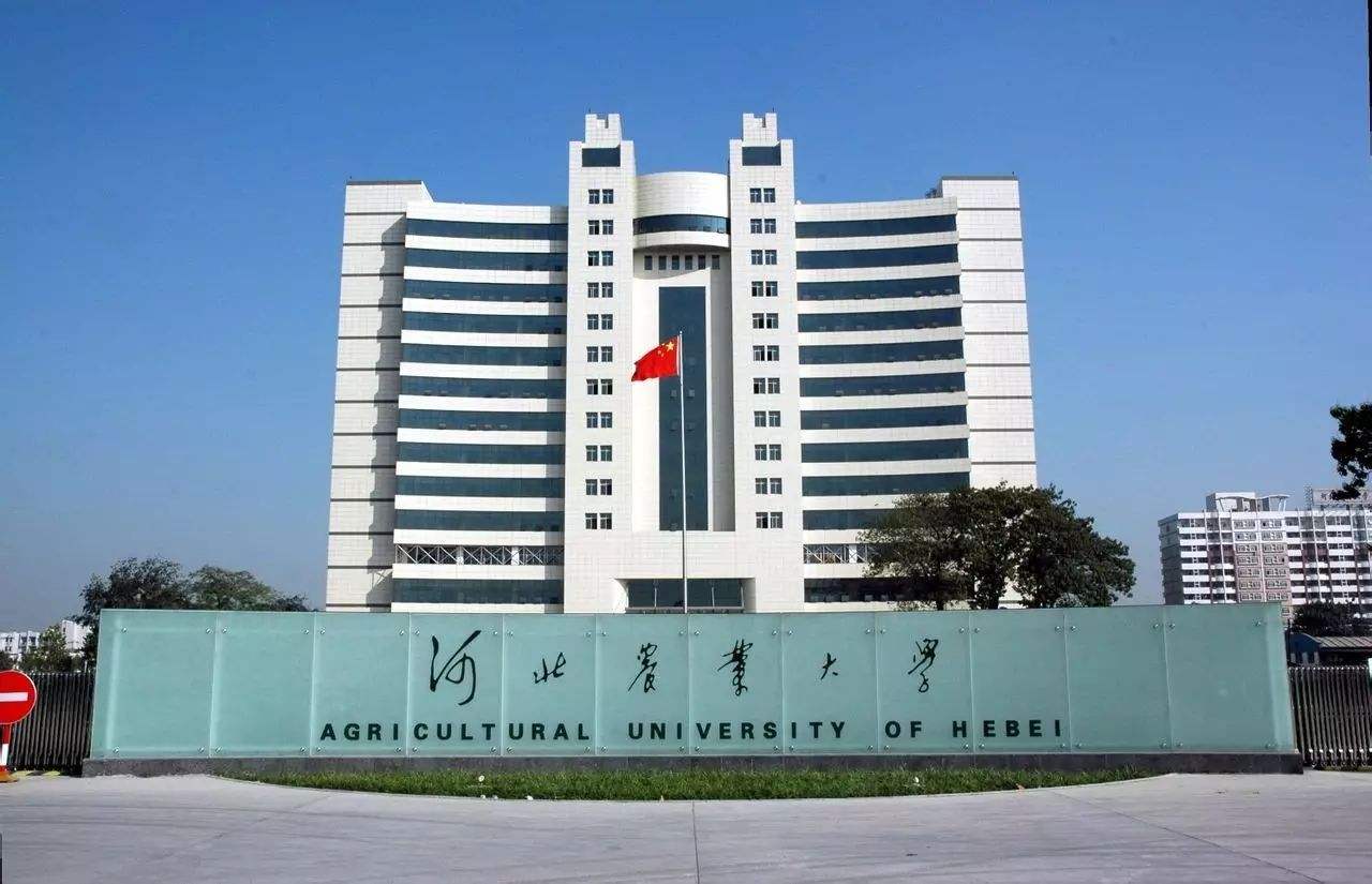 河北最容易考研的大學(一般二本建議考研學校)-圖1