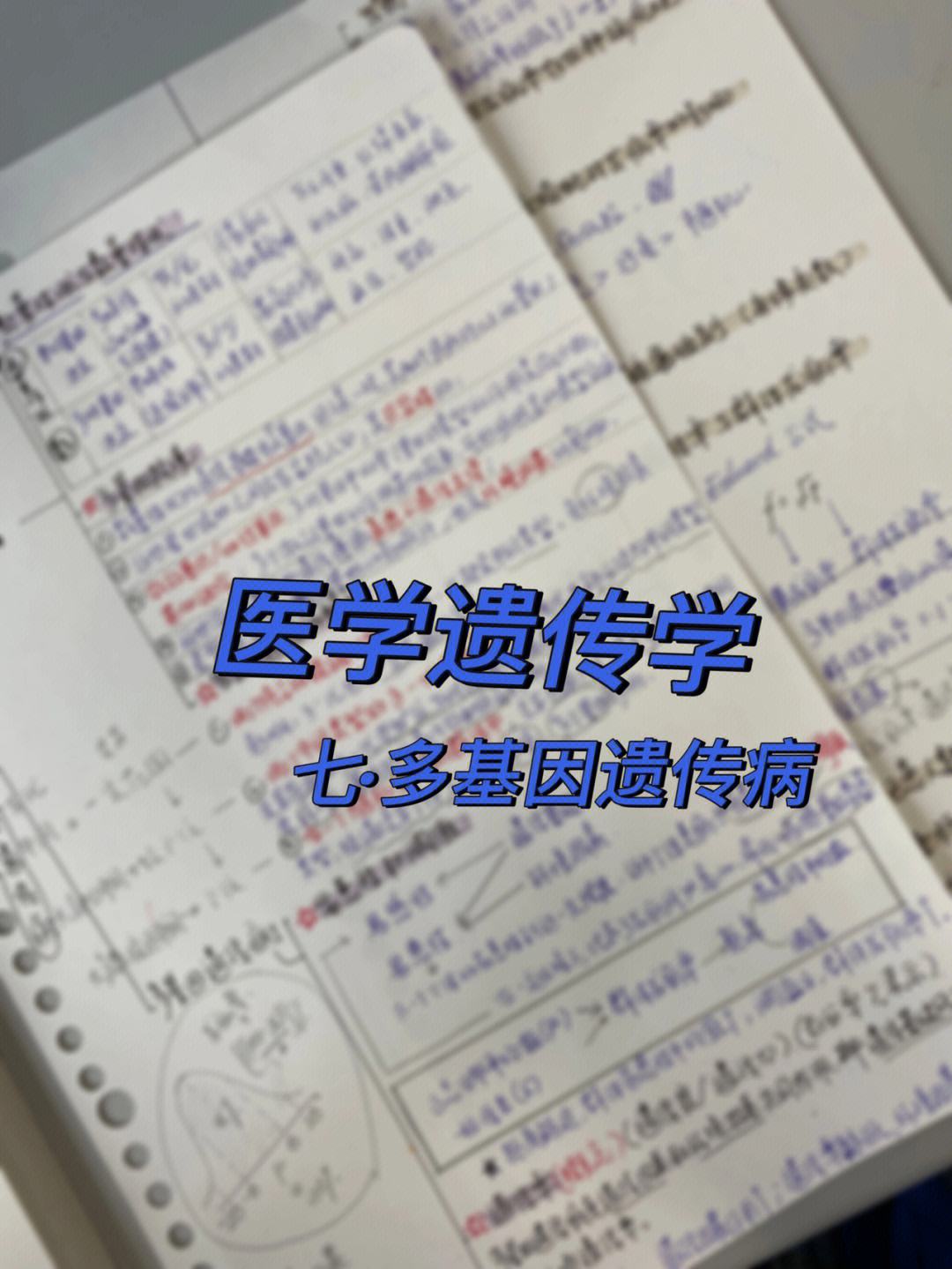 醫學遺傳學專碩(醫學專碩三年的安排)-圖1
