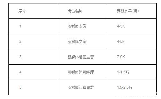 全媒體運營師薪酬(運營師是干嘛的)-圖1