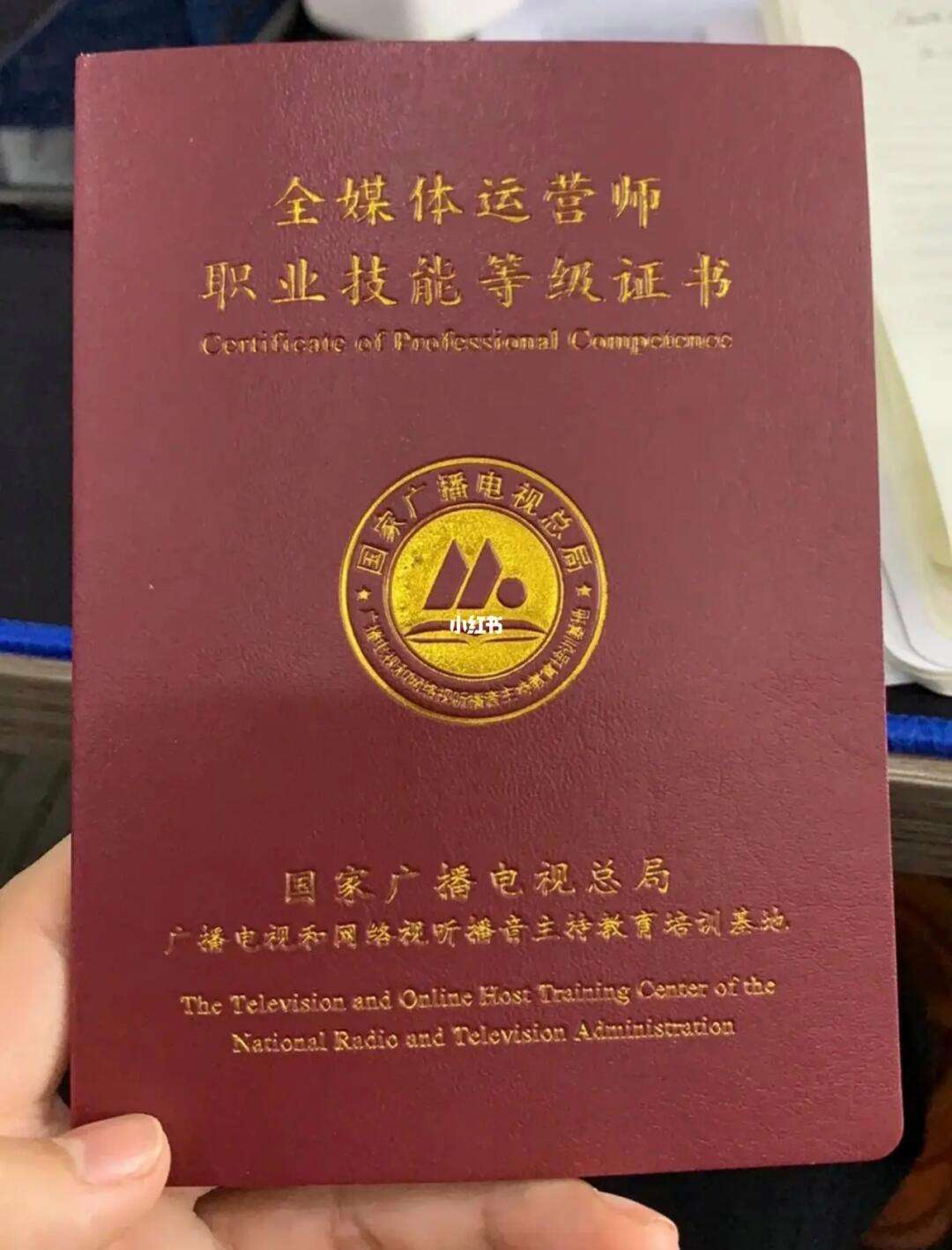 航空全媒體運(yùn)營(yíng)師(全媒體運(yùn)營(yíng)師證書報(bào)考條件)-圖1