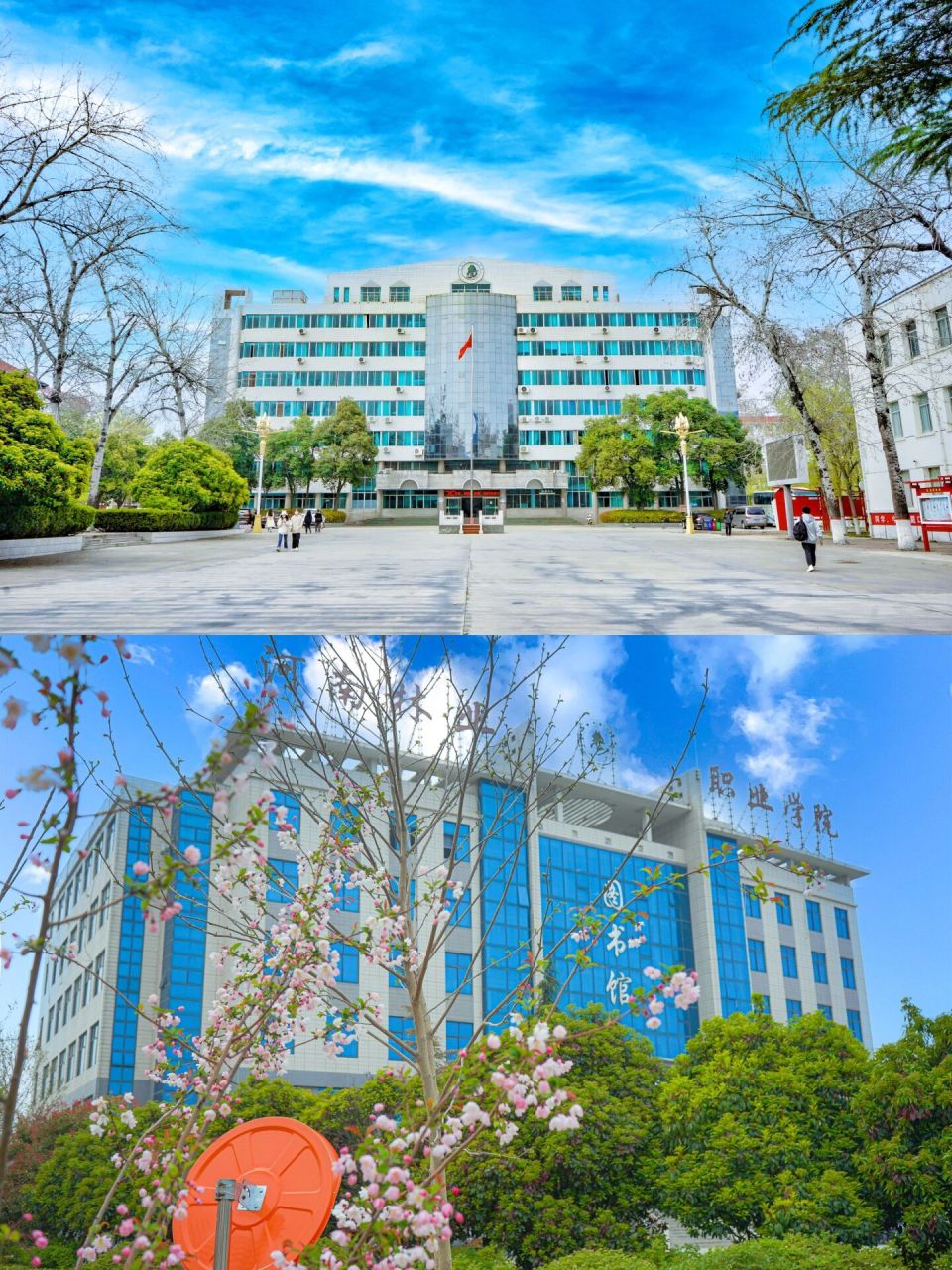 河南林業學院(洛陽林業大學是大專嗎)-圖1