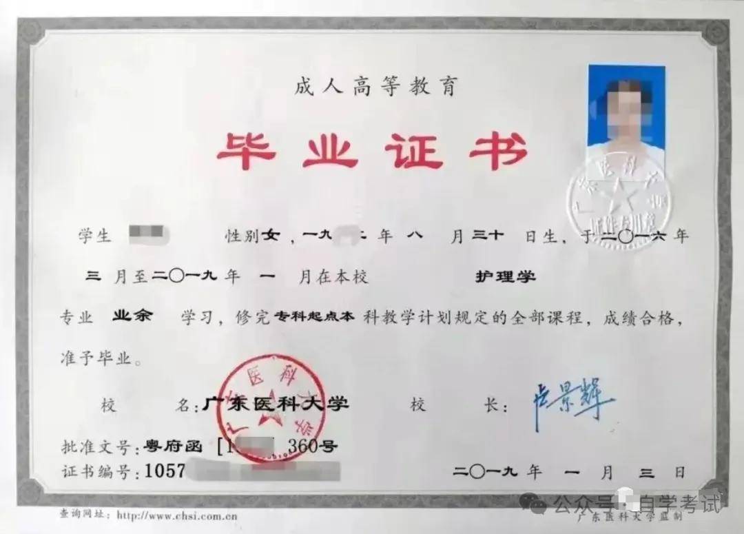 廣東最好的大專(廣東含金量高的大專)-圖1