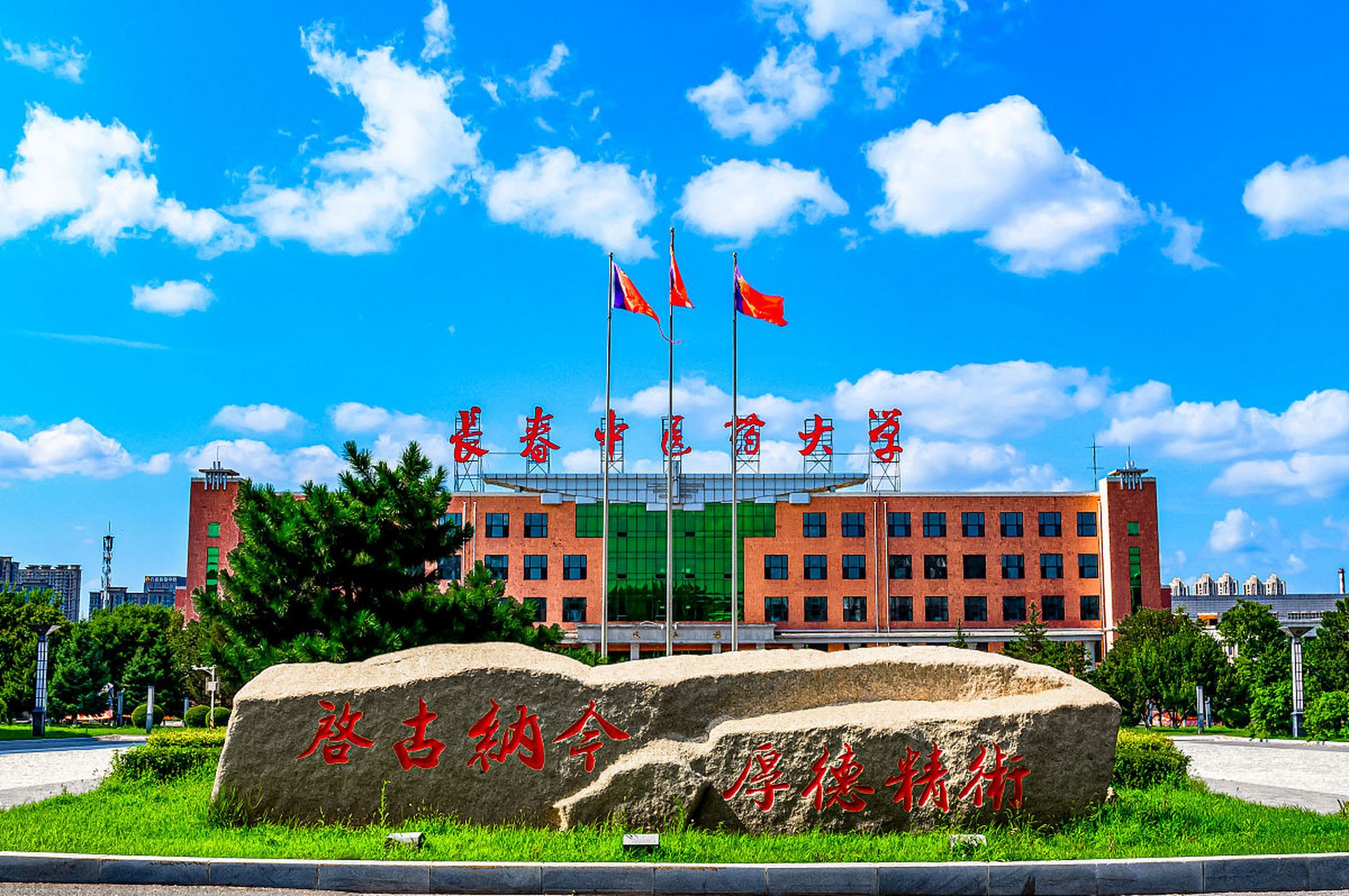 長春市中醫(yī)藥大學(國內(nèi)中醫(yī)藥大學排名)-圖1