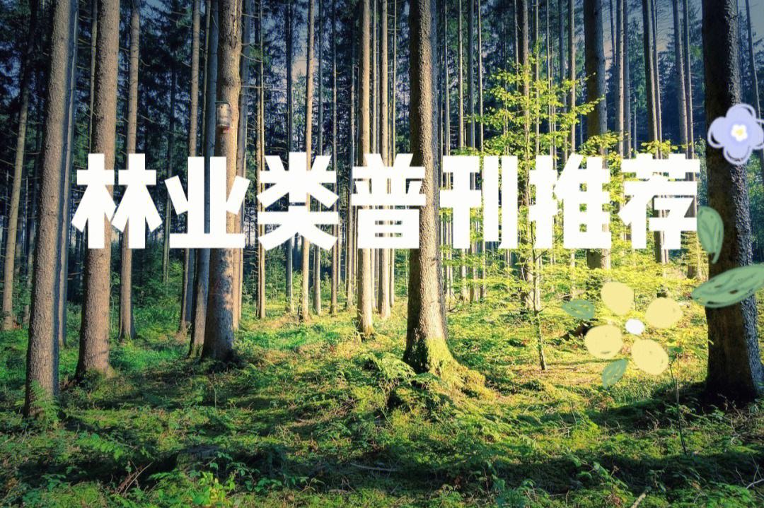林業研究方向哪個好(考研林業)-圖1