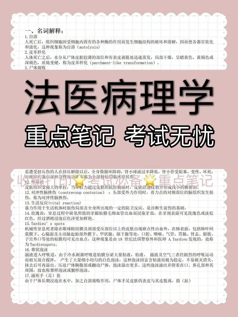 考法醫研究生有什么要求(法醫學考研考哪些科目)-圖1 考法醫研究生有什么要求(法醫學考研考哪些科目)-圖1