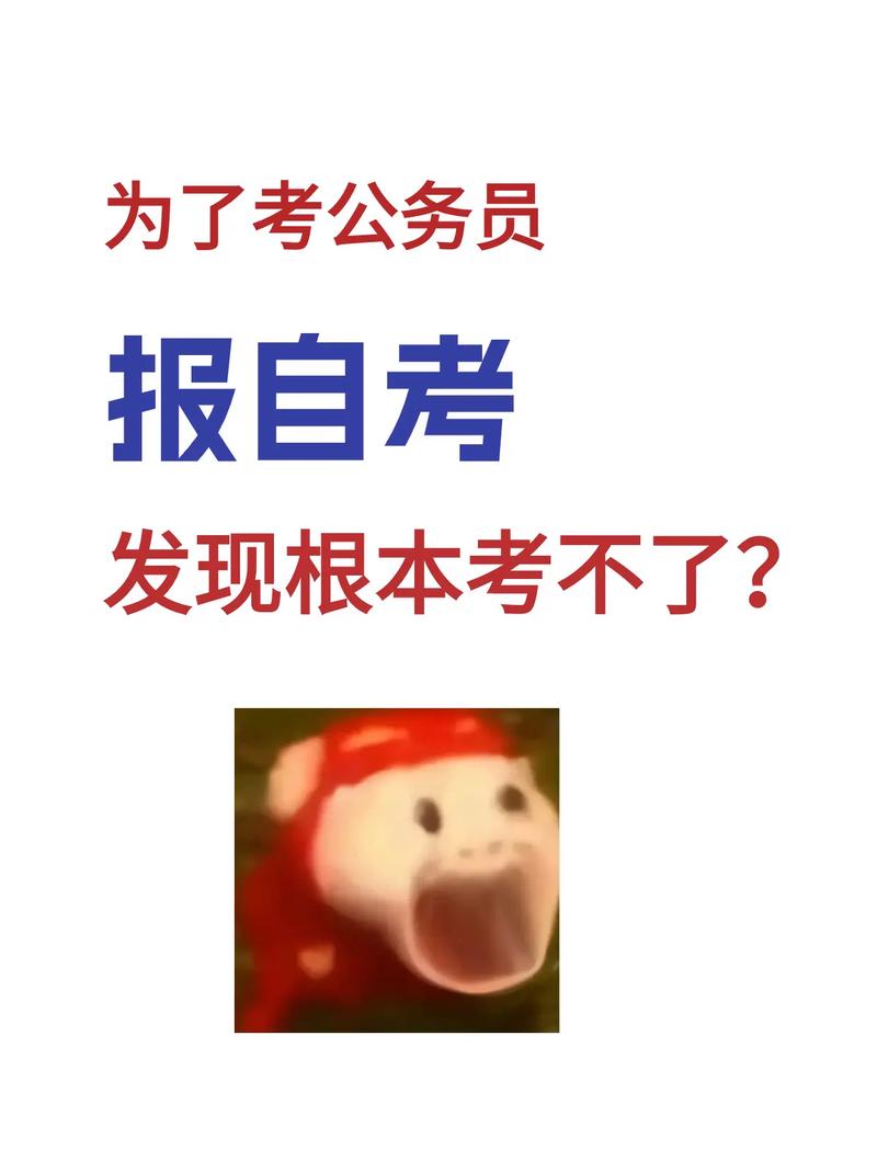 自考根本就考不了公務(wù)員(考公務(wù)員的崗位在哪里查)-圖1