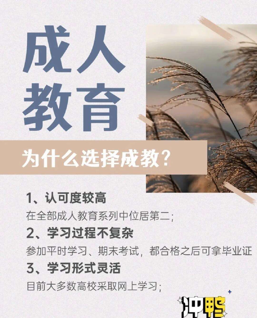 成教(初中文憑怎么報考成人大專)-圖1