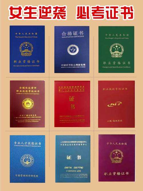 40歲考什么證書比較實用(想考個證書 哪個比較實用)-圖1