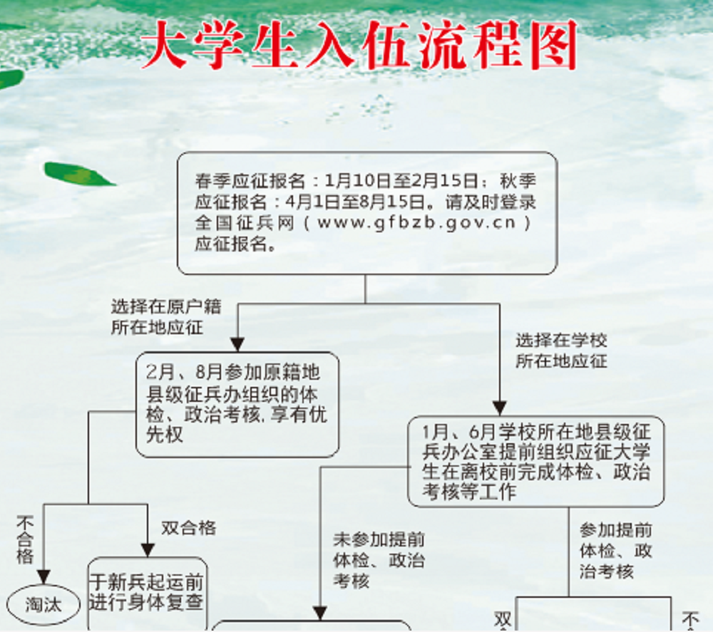 大學生入伍流程(大學生從學校當兵流程)-圖1