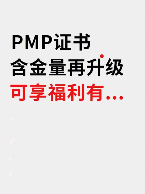 pmp含金量(pmp證書報(bào)考條件要求)-圖1