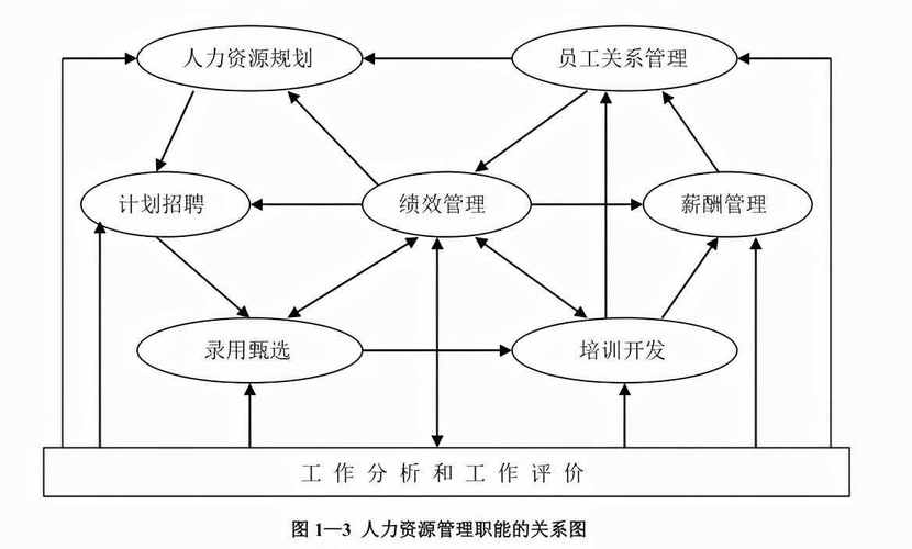 人力資源管理的職能有哪些(人力資源管理數字化)-圖1