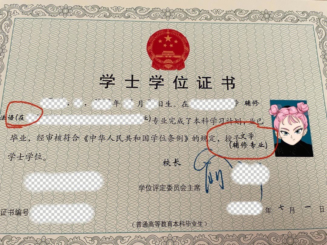 輔修雙學(xué)位國家承認(rèn)嗎(本科輔修法學(xué)可以法考嗎)-圖1