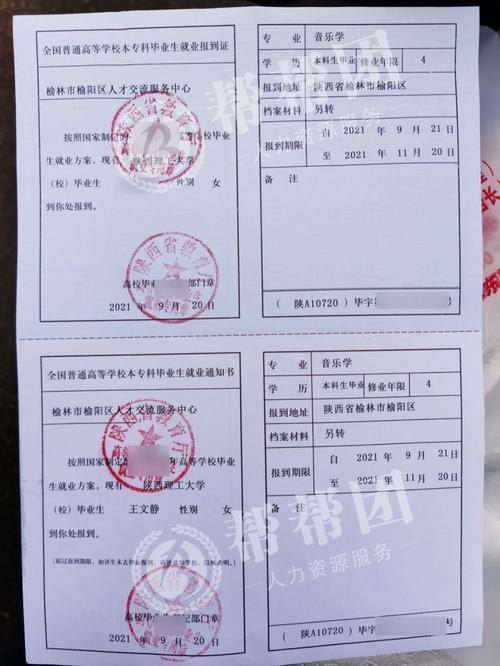 考上編制了,沒有報到證怎么辦(沒有報到證怎么存檔案)-圖1