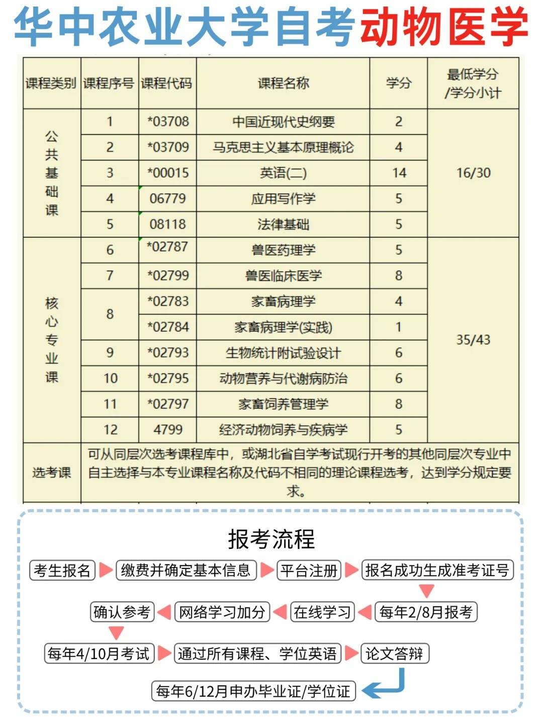 醫(yī)學(xué)本科自考(成人自考臨床醫(yī)學(xué))-圖1