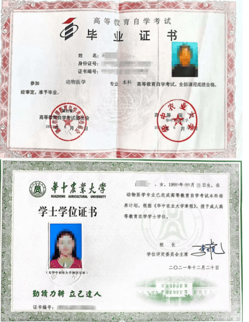 醫學證書哪些可以自考(臨床醫學自考)-圖1
