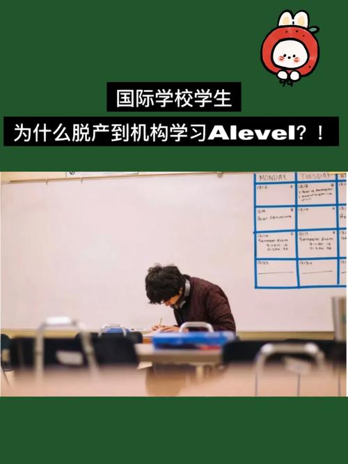 脫產在讀(函授與脫產有什么區別)-圖1