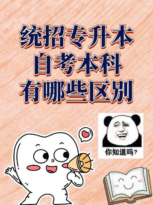 專轉本和專升本哪個含金量高(護理專升本)-圖1