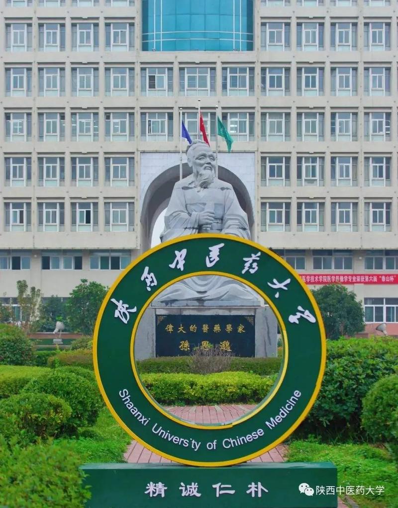 陜西中醫藥大學是一本還是二本(陜西中醫藥大學成人本科招生)-圖1