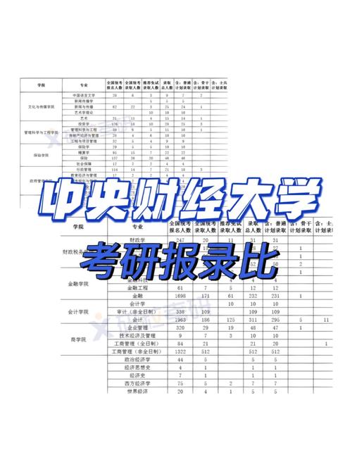 央財考研難度大嗎(上財和央財哪個考研難度大)-圖1