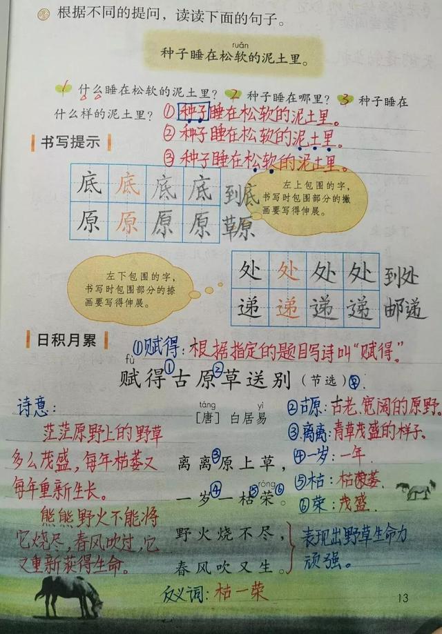 什么的田野填空(_____的田野)-圖1