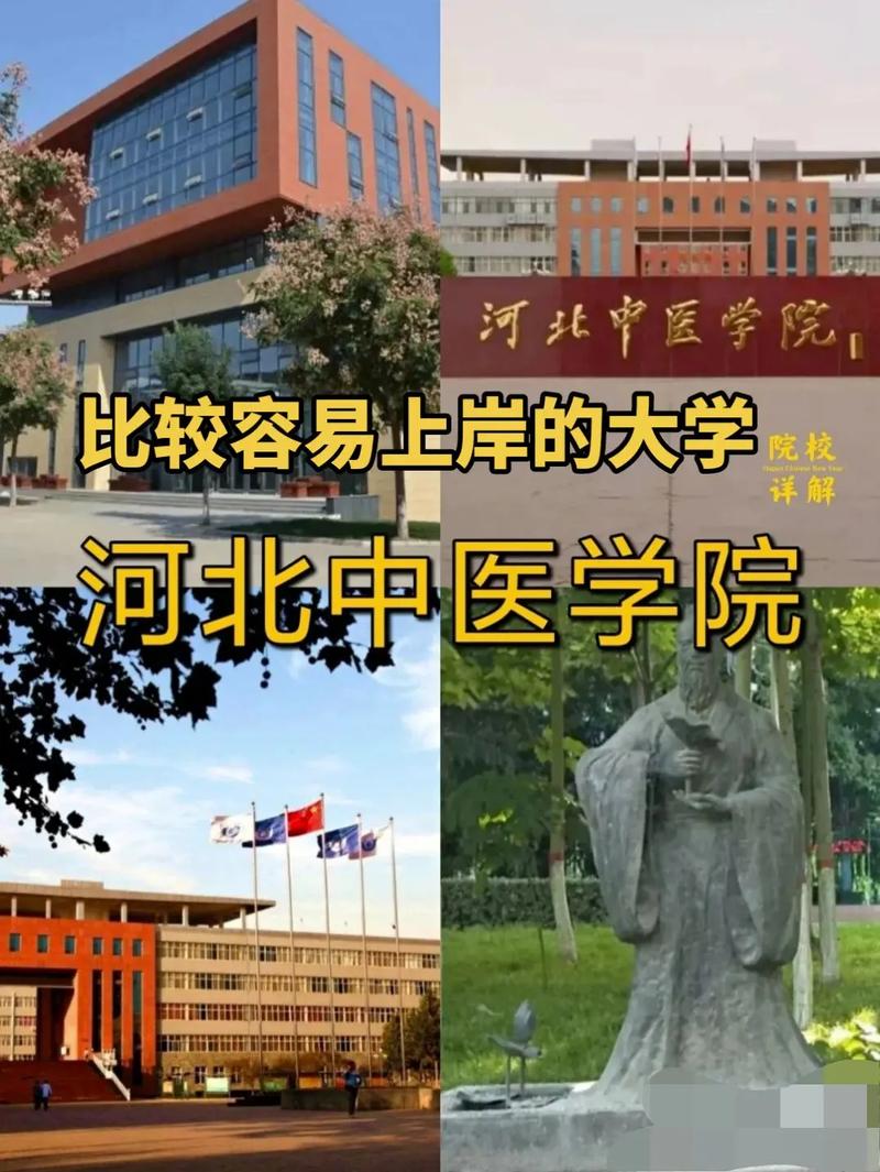 河北中醫學院是幾本(錄取分數線)-圖1