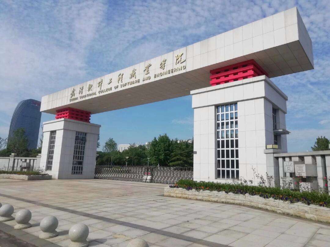 武軟是什么學校(把孩子送武校的利弊)-圖1