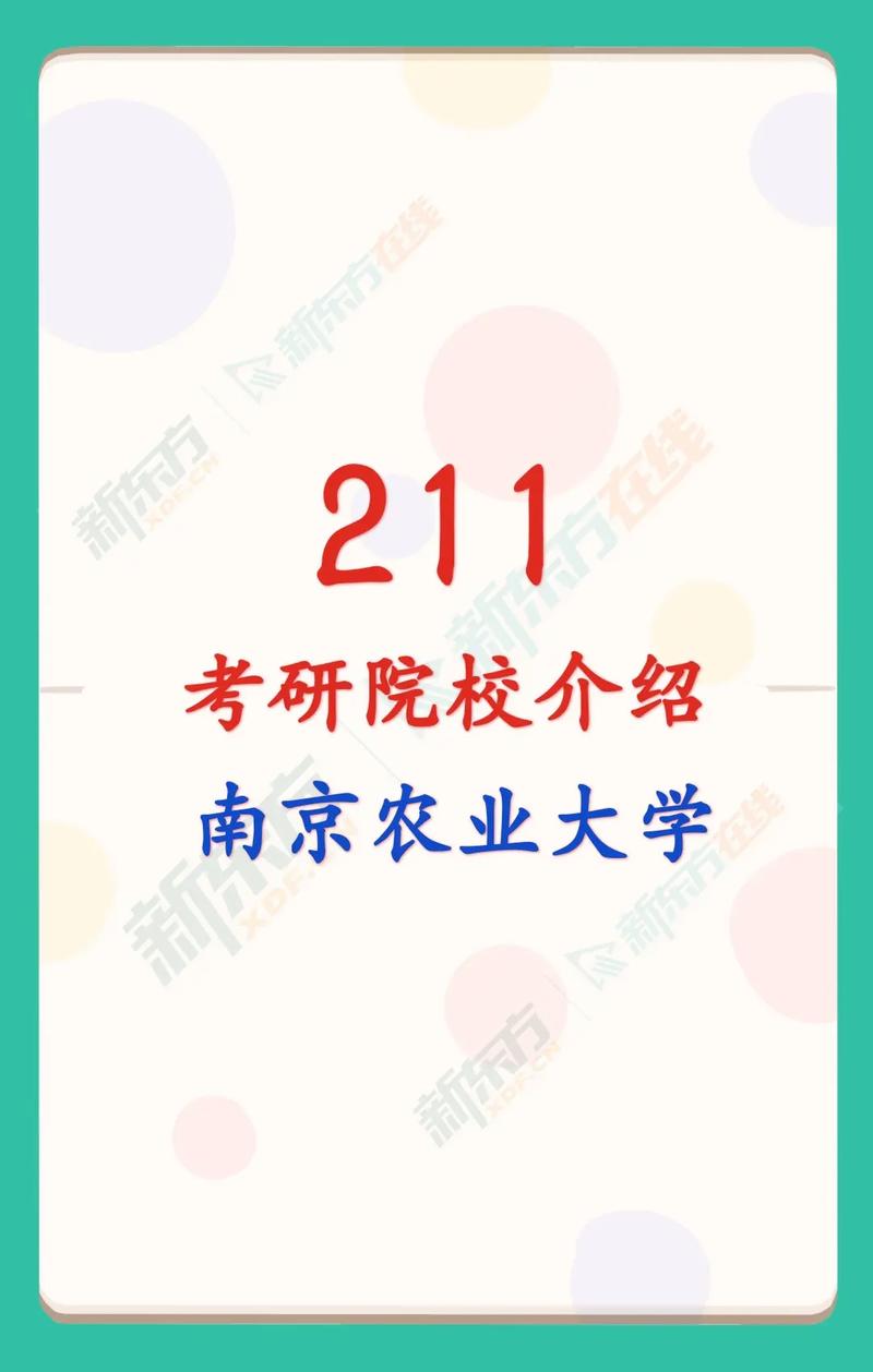 南農是什么檔次的211(大學排行榜)-圖1