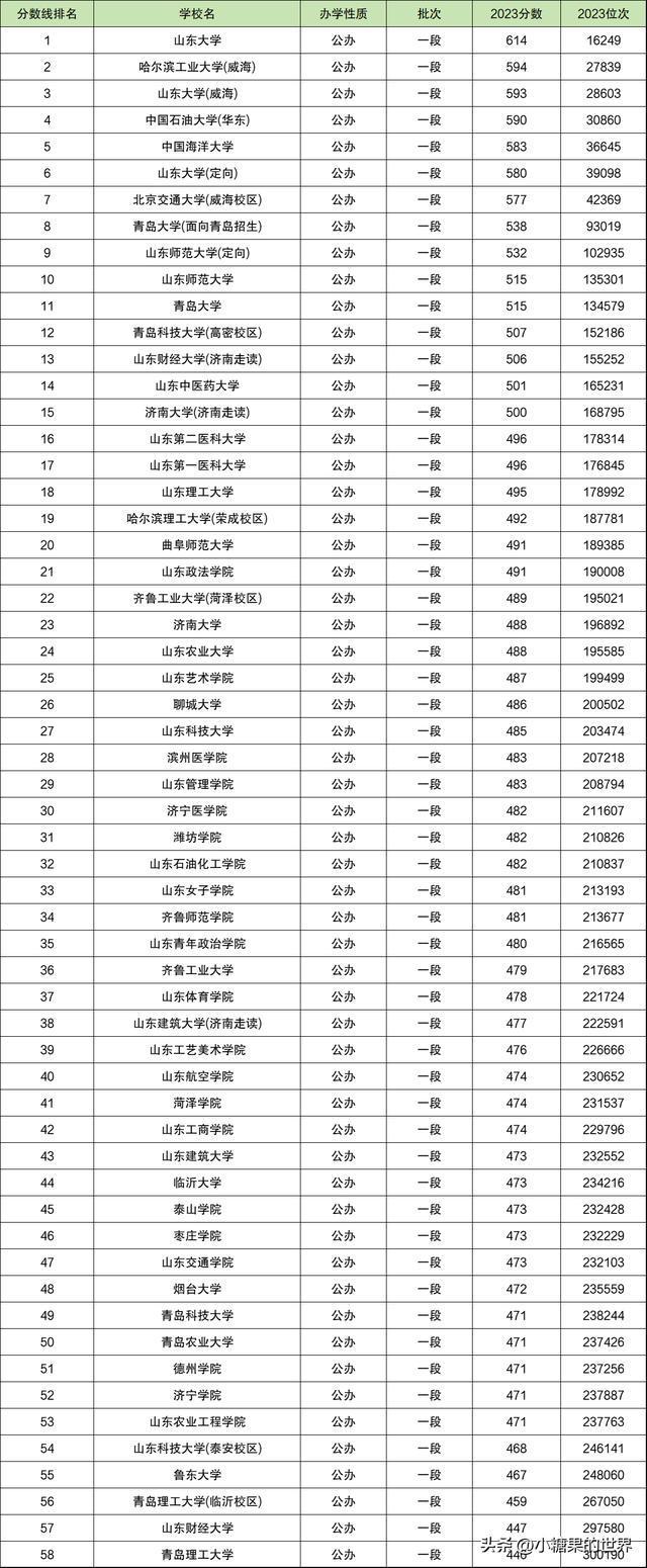 山東省最低分的二本公辦大學(中國傳媒大學2+2國際本科)-圖1
