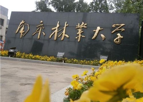 南京林業(yè)大學是211嗎-圖1