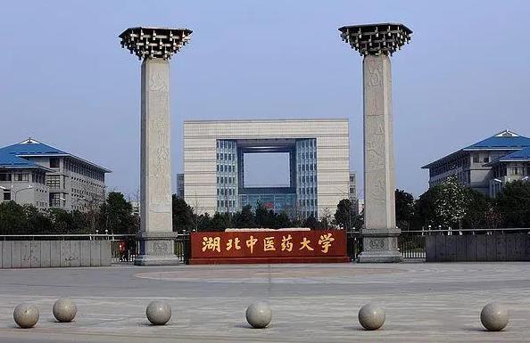 湖北中醫藥大學成人教育-圖1