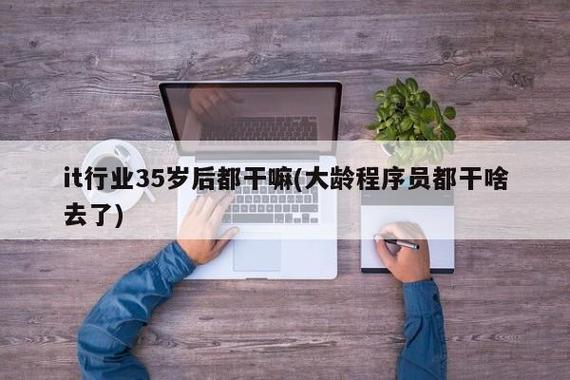 it行業(yè)35歲后都干嘛-圖1