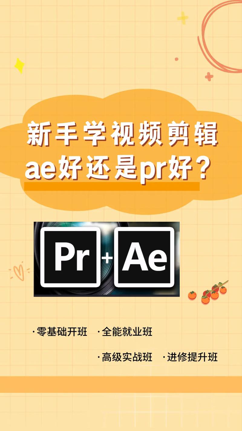 新手ae和pr先學哪個好-圖1